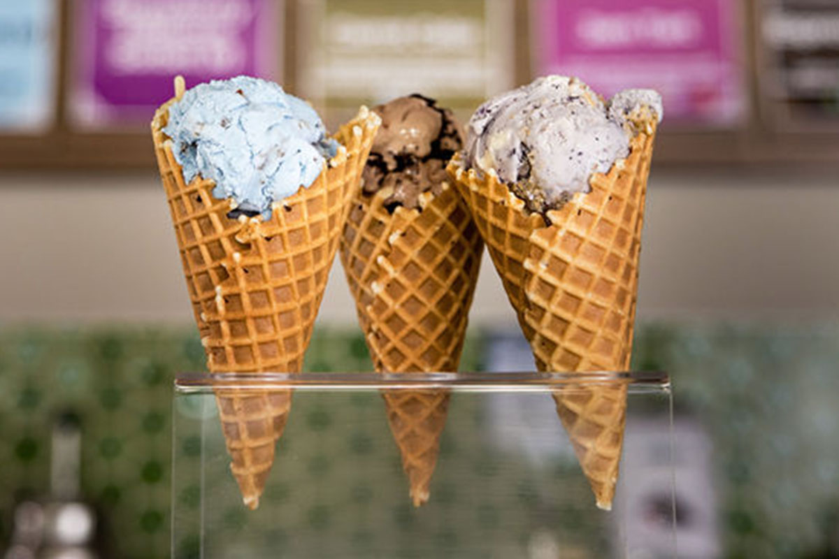 Dairy and Non-dairy ice cream Flavors - Swanky Scoop Ice Cream