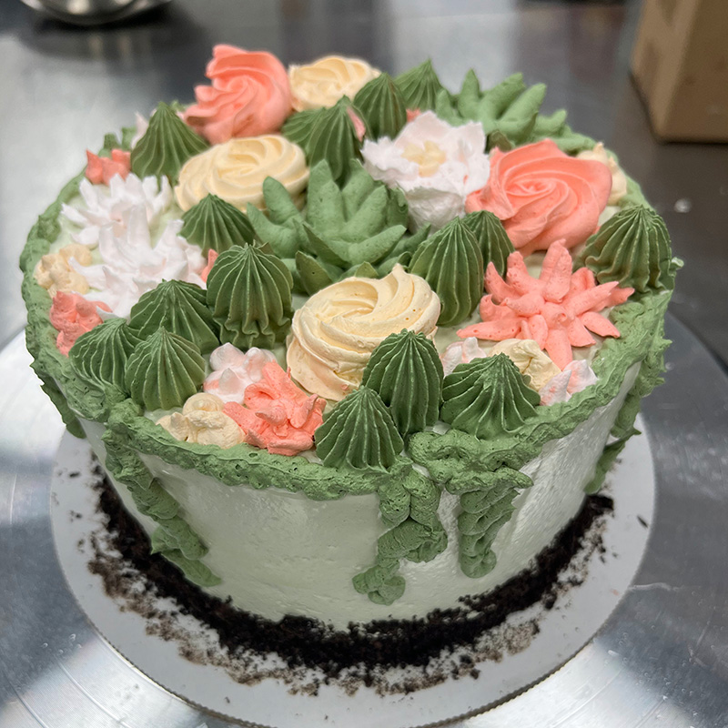 cactus succulent ice cream cake